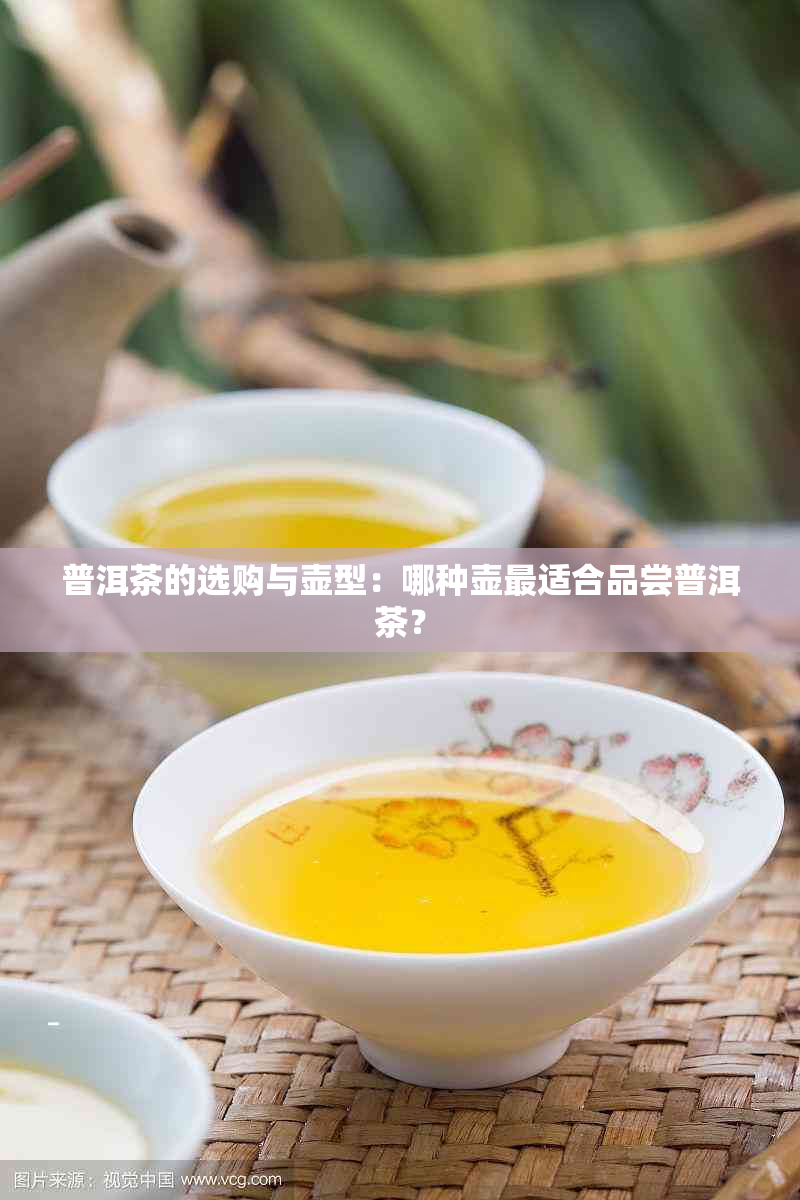 普洱茶的选购与壶型：哪种壶最适合品尝普洱茶？