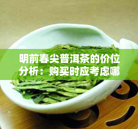 明前春尖普洱茶的价位分析：购买时应考虑哪些因素？