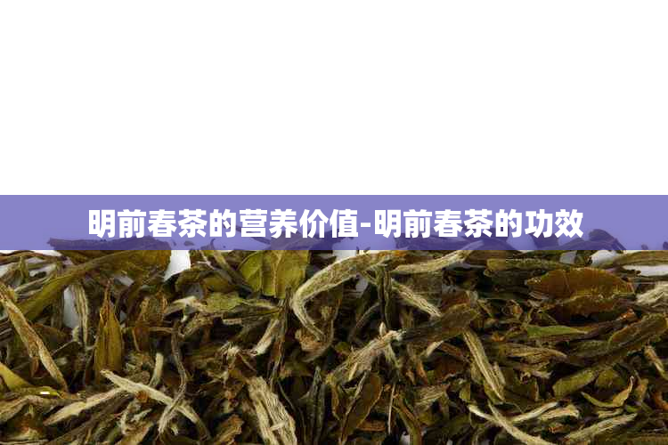 明前春茶的营养价值-明前春茶的功效