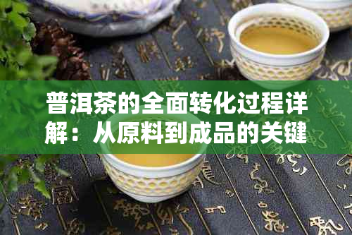 普洱茶的全面转化过程详解：从原料到成品的关键步骤与影响因素