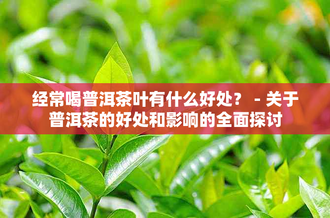 经常喝普洱茶叶有什么好处？ - 关于普洱茶的好处和影响的全面探讨