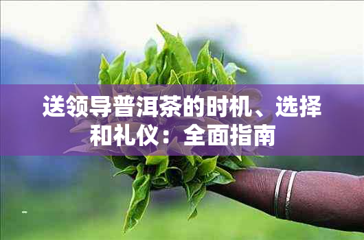 送领导普洱茶的时机、选择和礼仪：全面指南