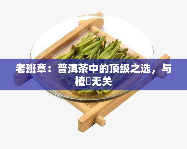 老班章：普洱茶中的顶级之选，与楂樻无关