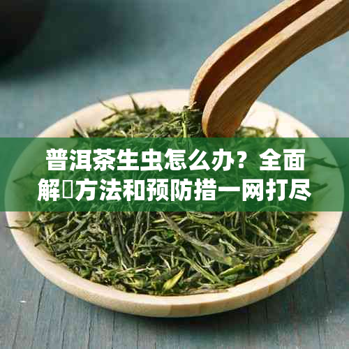 普洱茶生虫怎么办？全面解冑方法和预防措一网打尽！