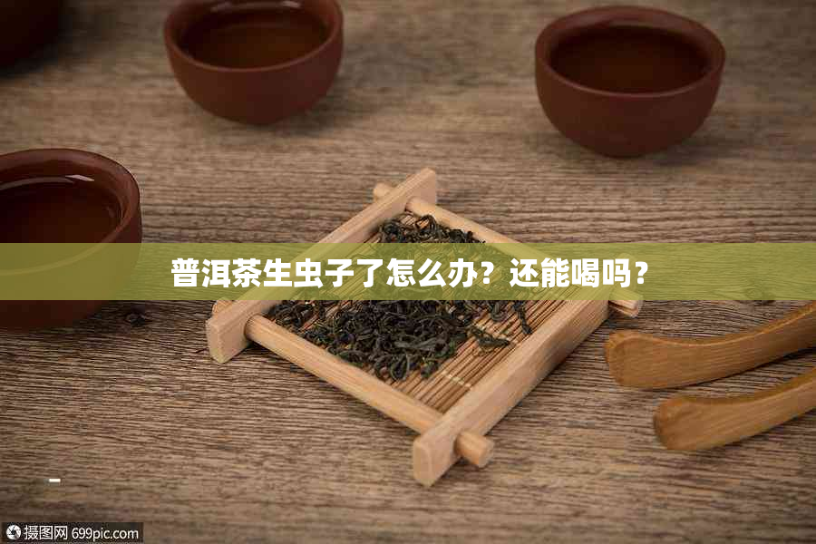 普洱茶生虫子了怎么办？还能喝吗？