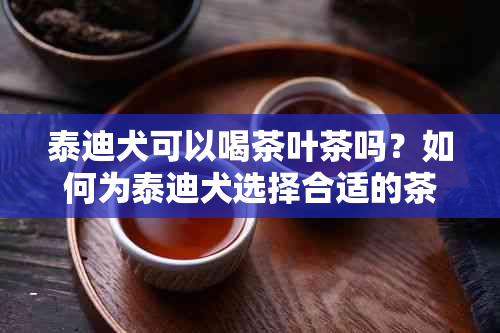 泰迪犬可以喝茶叶茶吗？如何为泰迪犬选择合适的茶叶饮品？