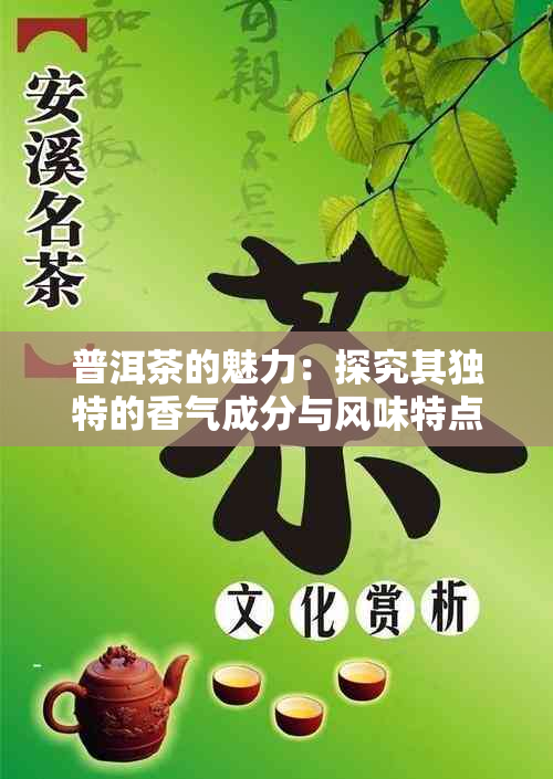 普洱茶的魅力：探究其独特的香气成分与风味特点