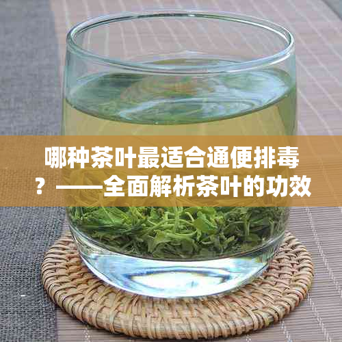 哪种茶叶最适合通便排？——全面解析茶叶的功效与选择方法