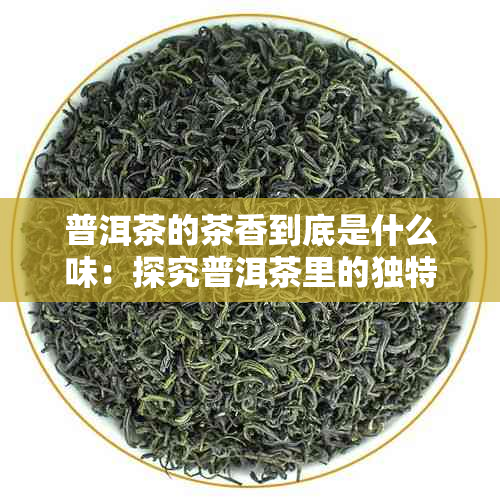 普洱茶的茶香到底是什么味：探究普洱茶里的独特香气