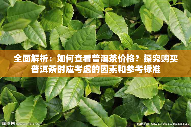 全面解析：如何查看普洱茶价格？探究购买普洱茶时应考虑的因素和参考标准