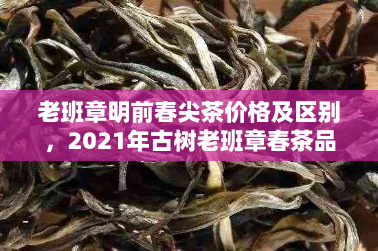 老班章明前春尖茶价格及区别，2021年古树老班章春茶品鉴