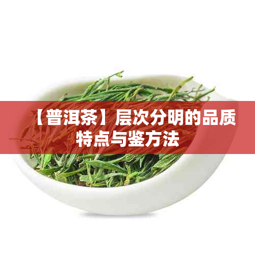 【普洱茶】层次分明的品质特点与鉴方法