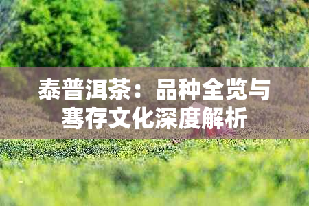 泰普洱茶：品种全览与骞存文化深度解析