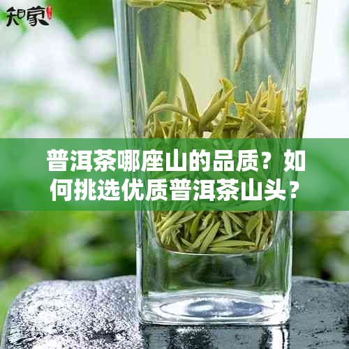 普洱茶哪座山的品质？如何挑选优质普洱茶山头？