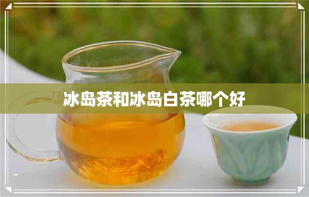 冰岛茶和冰岛白茶哪个好