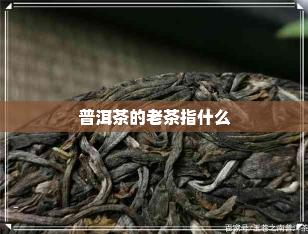 普洱茶的老茶指什么