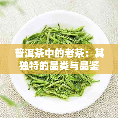 普洱茶中的老茶：其独特的品类与品鉴方法