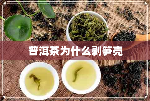 普洱茶为什么剥笋壳