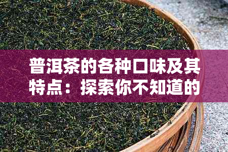 普洱茶的各种口味及其特点：探索你不知道的普洱茶世界