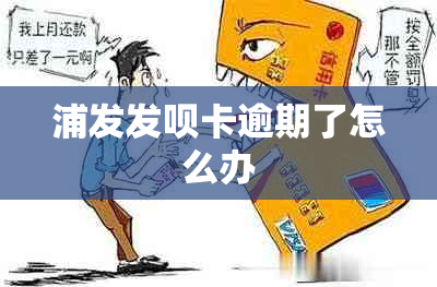 浦发发呗卡逾期了怎么办