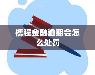 携程金融逾期会怎么处罚