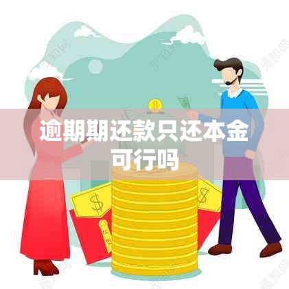 逾期期还款只还本金可行吗