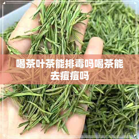 喝茶叶茶能排吗喝茶能去痘痘吗