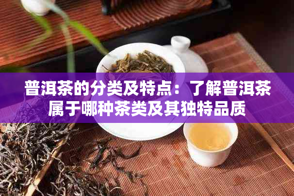 普洱茶的分类及特点：了解普洱茶属于哪种茶类及其独特品质