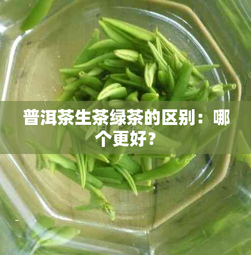 普洱茶生茶绿茶的区别：哪个更好？