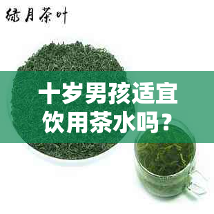 十岁男孩适宜饮用茶水吗？了解儿饮茶的健影响和正确方法