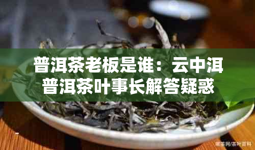 普洱茶老板是谁：云中洱普洱茶叶事长解答疑惑