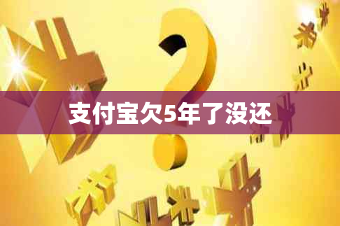 支付宝欠5年了没还