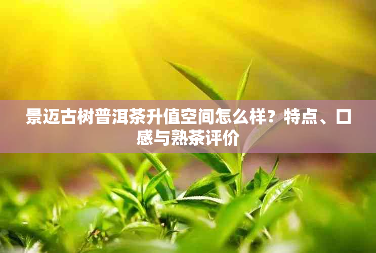 景迈古树普洱茶升值空间怎么样？特点、口感与熟茶评价