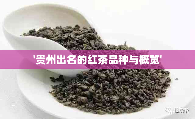 '贵州出名的红茶品种与概览'