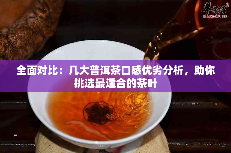 全面对比：几大普洱茶口感优劣分析，助你挑选最适合的茶叶