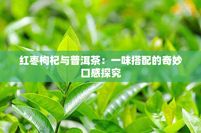 红枣枸杞与普洱茶：一味搭配的奇妙口感探究