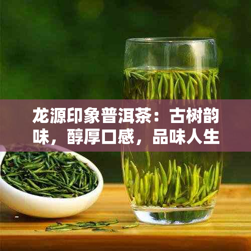 龙源印象普洱茶：古树韵味，醇厚口感，品味人生