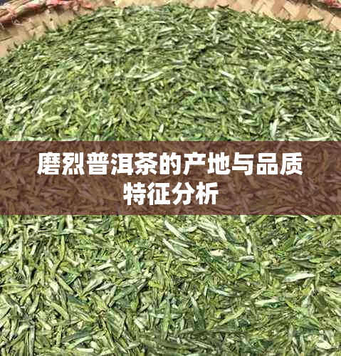 磨烈普洱茶的产地与品质特征分析