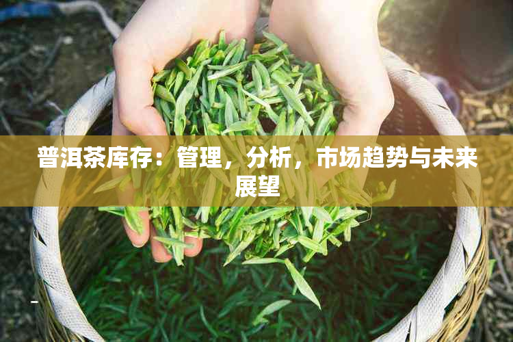 普洱茶库存：管理，分析，市场趋势与未来展望