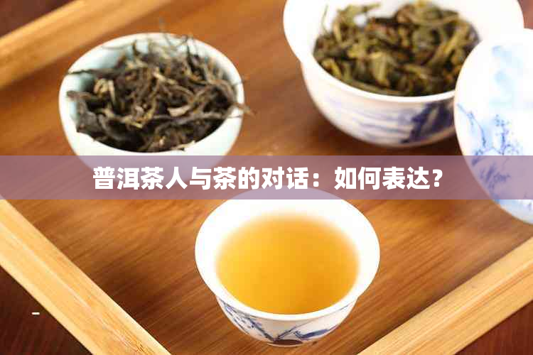 普洱茶人与茶的对话：如何表达？