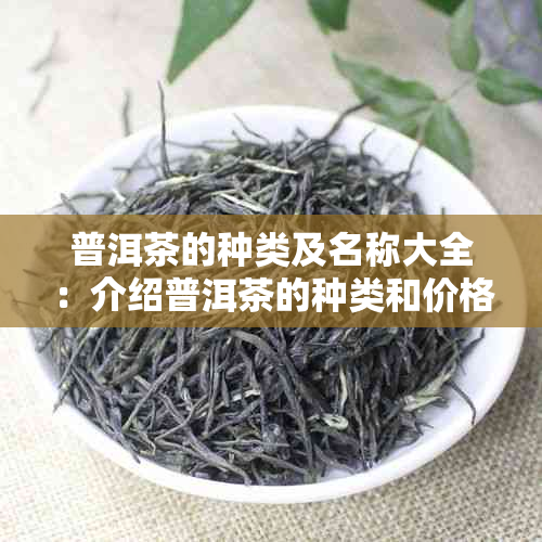 普洱茶的种类及名称大全：介绍普洱茶的种类和价格，特点及品鉴方法。