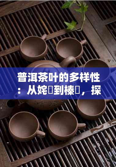 普洱茶叶的多样性：从姹熻到榛勫，探究不同种类的特点与品鉴方法