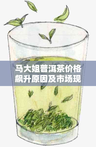 马大姐普洱茶价格飙升原因及市场现状深度解析