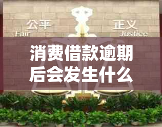 消费借款逾期后会发生什么