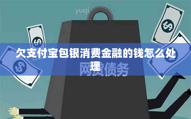 欠支付宝包银消费金融的钱怎么处理