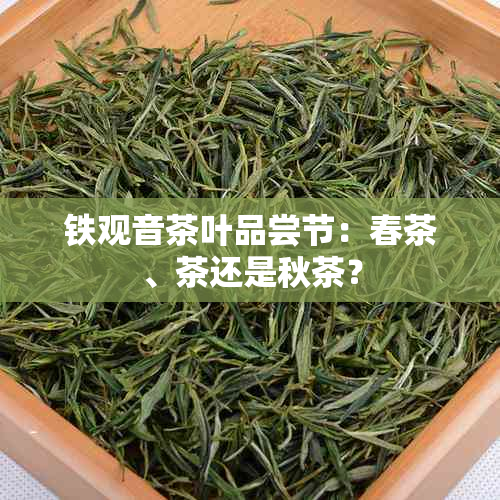 铁观音茶叶品尝节：春茶、茶还是秋茶？