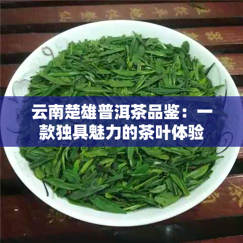 云南楚雄普洱茶品鉴：一款独具魅力的茶叶体验