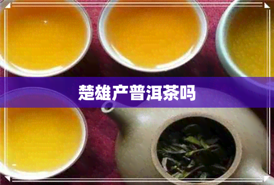 楚雄产普洱茶吗