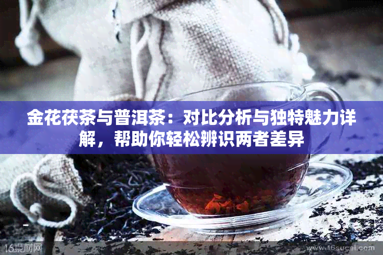 金花茯茶与普洱茶：对比分析与独特魅力详解，帮助你轻松辨识两者差异