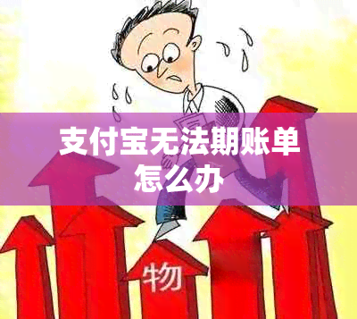 支付宝无法期账单怎么办